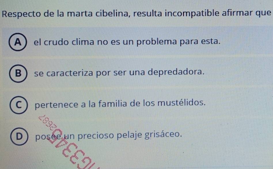 Respecto de la marta cibelina, resulta incompatible afirmar que
A el crudo clima no es un problema para esta.
B se caracteriza por ser una depredadora.
C ) pertenece a la familia de los mustélidos.
D) posee un precioso pelaje grisáceo.