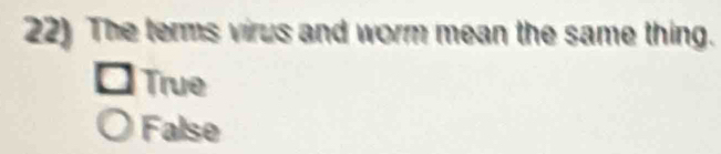 The terms virus and worm mean the same thing.
True
False