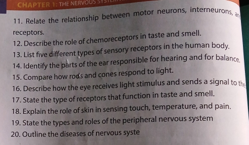 CHAPTER 1: THE NERVOUS SVST 
11. Relate the relationship between motor neurons, interneurons, a 
receptors. 
12. Describe the role of chemoreceptors in taste and smell. 
13. List five different types of sensory receptors in the human body. 
14. Identify the parts of the ear responsible for hearing and for balance 
15. Compare how rods and cones respond to light. 
16. Describe how the eye receives light stimulus and sends a signal to th: 
17. State the type of receptors that function in taste and smell. 
18. Explain the role of skin in sensing touch, temperature, and pain. 
19. State the types and roles of the peripheral nervous system 
20. Outline the diseases of nervous syste