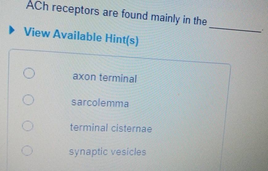 ACh receptors are found mainly in the
_
View Available Hint(s)
axon terminal
sarcolemma
terminal cisternae
synaptic vesicles