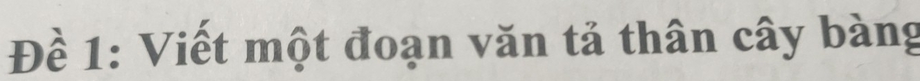 Đề 1: Viết một đoạn văn tả thân cây bàng