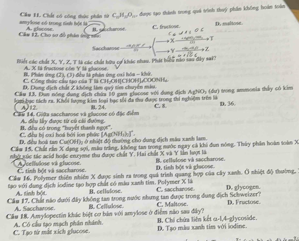 Chất có công thức phân từ C_12H_22O_11 , được tạo thành trong quá trình thuý phân không hoàn toàn
amylose có trong tính bật là D. meliose.
A glucose B. saccharose. C. fruciose.
Câu 12, Cho sơ đồ phân tng sau: co T
x (2)
Saccharose
     
Y +5x_2+ 2Z
Biết các chất X, Y, Z, T là các chất hữu cợ khác nhau. Phát biểu nào sau đây sai?
A. X là fructose còn Y là glucose.
B. Phân ứng (2), (3) đều là phản ứng oxi hóa - khứ.
C. Công thức cầu tạo của T là CH₂OH[CHOH],COONH₄.
D. Dung địch chất Z không làm quý tím chuyển màu.
Câu 13. Đun nóng dung dịch chứa 10 gam glucose với dung địch AgNO_3 s (du) trong ammonia thấy có kim
loại bạc tách ra. Khối lượng kim loại bạc tối đa thu được trong thi nghiệm trên là
A 12. B. 24. C. 8. D. 36.
Cầu 14. Giữa saccharose và glucose có đặc điểm
A. đều lấy được từ cú cái đường.
B. đều có trong ''huyết thanh ngọt''.
C. đều bị oxi hoá bởi ion phức [Ag( y_2
D. đều hoà tan Cu(OH)₂ ở nhiệt độ thường cho dung dịch màu xanh lam.
Câu 15. Chất rần X dạng sợi, màu trắng, không tan trong nước ngay cả khi dun nóng. Thúy phân hoàn toàn X
nhớ xúc tác acid hoặc enzyme thu được chất Y. Hai chất X và Y lân lượt là
A cellulose và glucose. B. cellulose và saccharose.
C. tính bột và saccharose. D. tinh bột và glucose.
Câu 16. Polymer thiên nhiên X được sinh ra trong quá trình quang hợp của cây xanh. Ở nhiệt độ thường,
tạo với dung dịch iodine tạo hợp chất có màu xanh tím. Polymer X là
A. tính bột. B. cellulose. C. saccharose. D. glycogen.
Câu 17. Chất nào dưới đây không tan trong nước nhưng tan được trong dung dịch Schweizer?
A. Saccharose. B. Cellulose. C. Maltose. D. Fructose.
Câu 18. Amylopectin khác biệt cơ bản với amylose ở điểm nào sau đây?
A. Có cấu tạo mạch phân nhánh. B. Chi chứa liên kết α-l,4-glycoside.
C. Tạo từ mắt xích glucose. D. Tạo màu xanh tím với iodine.