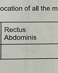 ocation of all the m 
Rectus 
Abdominis