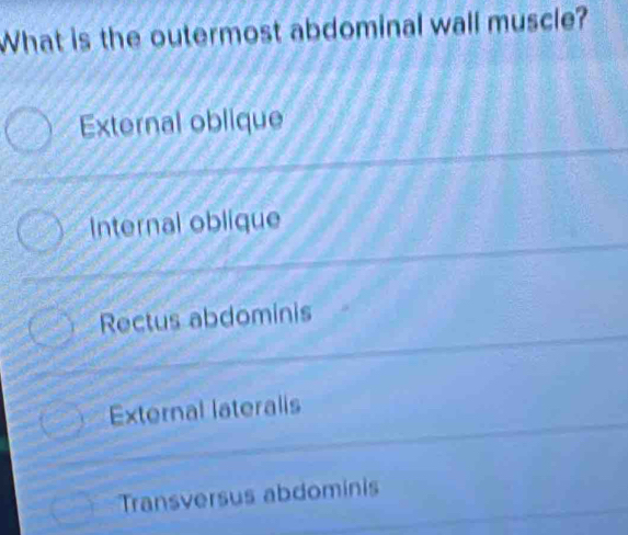 What is the outermost abdominal wall muscle?
External oblique
Internal oblique
Rectus abdominis
External lateralis
Transversus abdominis