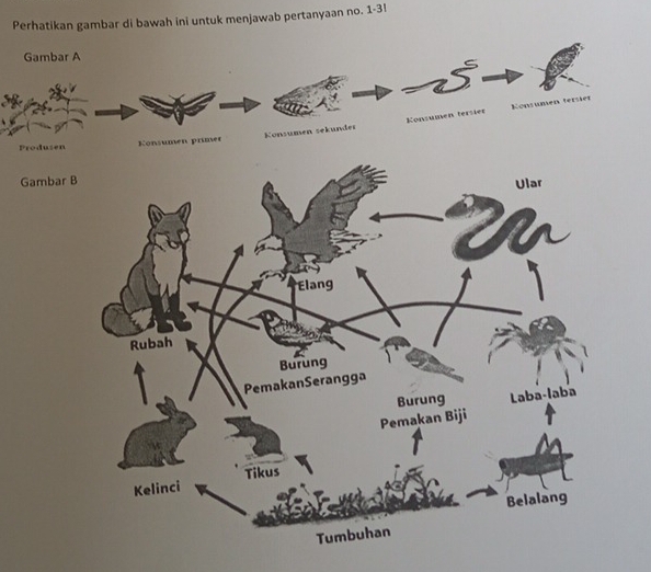 Perhatikan gambar di bawah ini untuk menjawab pertanyaan no. 1 - 3!
G
Pr
G