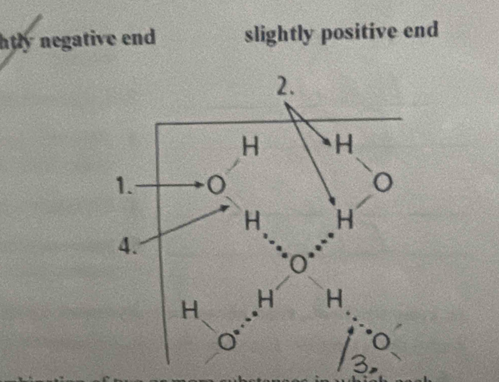 ntly negative end slightly positive end