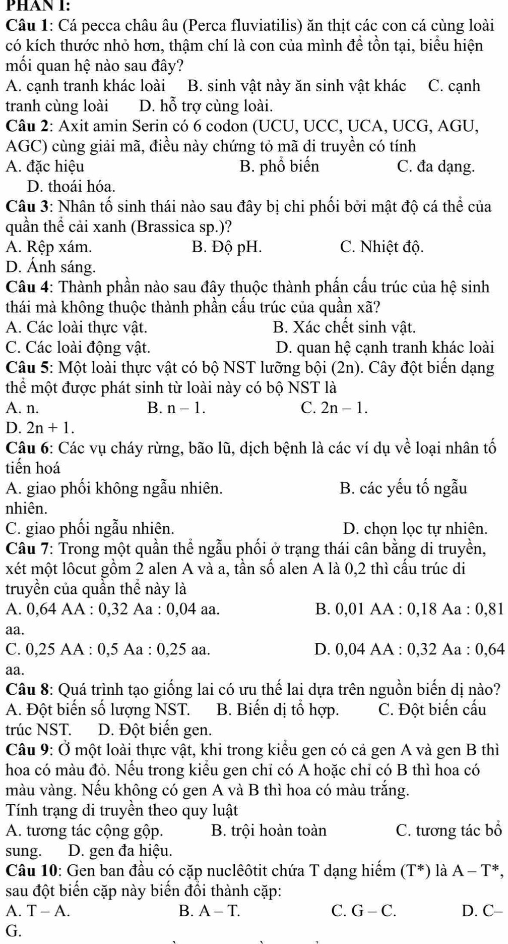 PHAN I:
Câu 1: Cá pecca châu âu (Perca fluviatilis) ăn thịt các con cá cùng loài
có kích thước nhỏ hơn, thậm chí là con của mình để tồn tại, biểu hiện
mối quan hệ nào sau đây?
A. cạnh tranh khác loài B. sinh vật này ăn sinh vật khác C. cạnh
tranh cùng loài D. hỗ trợ cùng loài.
Câu 2: Axit amin Serin có 6 codon (UCU, UCC, UCA, UCG, AGU,
AGC) cùng giải mã, điều này chứng tỏ mã di truyền có tính
A. đặc hiệu B. phổ biến C. đa dạng.
D. thoái hóa.
Câu 3: Nhân tố sinh thái nào sau đây bị chi phối bởi mật độ cá thể của
quần thể cải xanh (Brassica sp.)?
A. Rệp xám. B. Độ pH. C. Nhiệt độ.
D. Ánh sáng.
Câu 4: Thành phần nào sau đây thuộc thành phần cấu trúc của hệ sinh
thái mà không thuộc thành phần cấu trúc của quần xã?
A. Các loài thực vật. B. Xác chết sinh vật.
C. Các loài động vật. D. quan hệ cạnh tranh khác loài
Câu 5: Một loài thực vật có bộ NST lưỡng bội (2n). Cây đột biến dạng
thể một được phát sinh từ loài này có bộ NST là
A. n. B. n-1. C. 2n-1.
D. 2n+1.
Câu 6: Các vụ cháy rừng, bão lũ, dịch bệnh là các ví dụ về loại nhân tố
tiến hoá
A. giao phối không ngẫu nhiên. B. các yếu tố ngẫu
nhiên.
C. giao phối ngẫu nhiên. D. chọn lọc tự nhiên.
Câu 7: Trong một quần thể ngẫu phối ở trạng thái cân bằng di truyền,
xét một lôcut gồm 2 alen A và a, tần số alen A là 0,2 thì cấu trúc di
truyền của quần thể này là
A. 0,64 AA : 0,32 Aa : 0,04 aa. B. 0,01 AA : 0,18 Aa : 0,81
aa.
C. 0,25 AA : 0,5 Aa : 0,25 aa. D. 0,04 AA : 0,32 Aa : 0,64
aa.
Câu 8: Quá trình tạo giống lai có ưu thế lai dựa trên nguồn biến dị nào?
A. Đột biến số lượng NST. B. Biến dị tổ hợp. C. Đột biến cấu
trúc NST. D. Đột biến gen.
Câu 9: Ở một loài thực vật, khi trong kiểu gen có cả gen A và gen B thì
hoa có màu đó. Nếu trong kiểu gen chỉ có A hoặc chỉ có B thì hoa có
màu vàng. Nếu không có gen A và B thì hoa có màu trắng.
Tính trạng di truyền theo quy luật
A. tương tác cộng gộp. B. trội hoàn toàn C. tương tác bổ
sung. D. gen đa hiệu.
Câu 10: Gen ban đầu có cặp nuclêôtit chứa T dạng hiểm (T^*) là A-T^*,
sau đột biến cặp này biến đổi thành cặp:
A. T-A. B. A-T. C. G-C. D. C-
G.