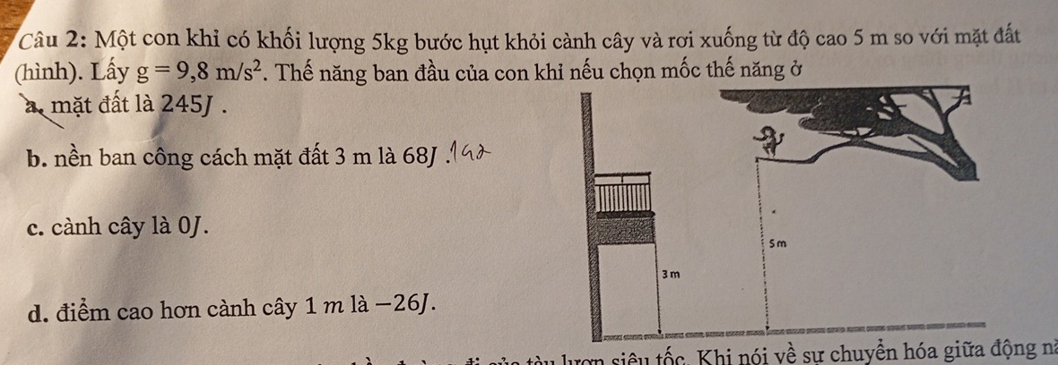 Một con khỉ có khối lượng 5kg bước hụt khỏi cành cây và rơi xuống từ độ cao 5 m so với mặt đất
(hình). Lấy g=9,8m/s^2 *. Thế năng ban đầu của con khỉ nếu chọn mốc thế năng ở
à . mặt đất là 245J.
b. nền ban công cách mặt đất 3 m là 68J
c. cành cây là 0J.
d. điểm cao hơn cành cây 1 m là −26J.
lượn siêu tốc, Khi nói về sự chuyển hóa giữa động nà