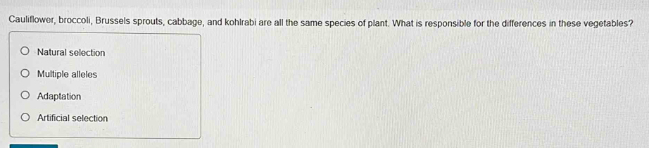 Cauliflower, broccoli, Brussels sprouts, cabbage, and kohlrabi are all the same species of plant. What is responsible for the differences in these vegetables?
Natural selection
Multiple alleles
Adaptation
Artificial selection