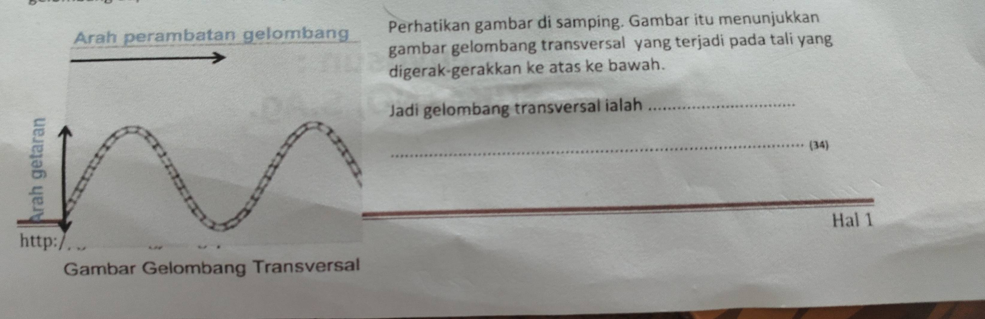 Arah perambatan gelombang Perhatikan gambar di samping. Gambar itu menunjukkan 
gambar gelombang transversal yang terjadi pada tali yang 
digerak-gerakkan ke atas ke bawah. 
di gelombang transversal ialah_ 
_(34) 
Hal 1