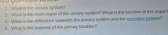 What is the urinary system? 
2. What is the main organ of the urinary system? What is the function of this organ? 
3. What is the difference between the urinary system and the excretory sver? 
4. What is the purpose of the urinary bladder?