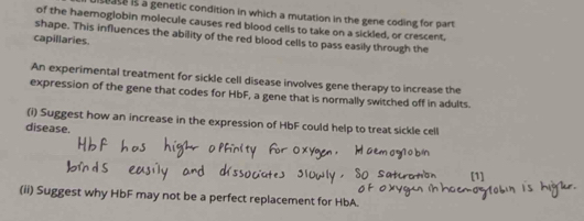 sease is a genetic condition in which a mutation in the gene coding for part 
of the haemoglobin molecule causes red blood cells to take on a sickled, or crescent. 
shape. This influences the ability of the red blood cells to pass easily through the 
capillaries. 
An experimental treatment for sickle cell disease involves gene therapy to increase the 
expression of the gene that codes for HbF, a gene that is normally switched off in adults. 
(i) Suggest how an increase in the expression of HbF could help to treat sickle cell 
disease. 
(1] 
(ii) Suggest why HbF may not be a perfect replacement for HbA.