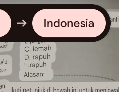 Indonesia anti
ktor C. lemah
alu D. rapuh
puan E.rapuh
Alasan:
an Ikuti petuniuk di bawaḥ ini untuk meniawa