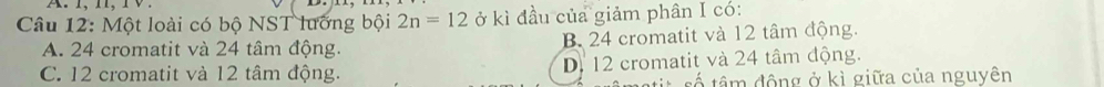 Một loài có bộ NST lướng bội 2n=12 ở kì đầu của giảm phân I có:
A. 24 cromatit và 24 tâm động. B. 24 cromatit và 12 tâm động.
C. 12 cromatit và 12 tâm động. D. 12 cromatit và 24 tâm động.
tố tâm động ở kì giữa của nguyên