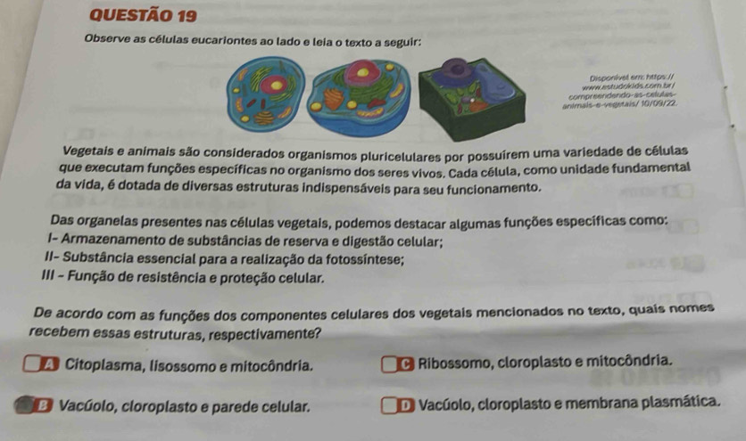 Observe as células eucariontes ao lado e leia o texto a seguir:
Disponivet em: https://
www.estudcklds.com.br i
compreendendo-as-células
animals-e-vegetals/ 10/09/22.
Vegetais e animais são considerados organismos pluricelulares por possuírem uma variedade de células
que executam funções específicas no organismo dos seres vivos. Cada célula, como unidade fundamental
da vida, é dotada de diversas estruturas indispensáveis para seu funcionamento.
Das organelas presentes nas células vegetais, podemos destacar algumas funções específicas como:
I- Armazenamento de substâncias de reserva e digestão celular;
II- Substância essencial para a realização da fotossíntese;
III - Função de resistência e proteção celular.
De acordo com as funções dos componentes celulares dos vegetais mencionados no texto, quais nomes
recebem essas estruturas, respectivamente?
o Citoplasma, lisossomo e mitocôndria. O Ribossomo, cloroplasto e mitocôndria.
Vacúolo, cloroplasto e parede celular. D Vacúolo, cloroplasto e membrana plasmática.