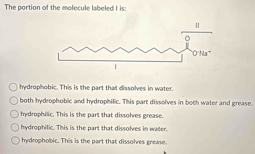 The portion of the molecule labeled I is:
hydrophobic. This is the part that dissolves in water.
both hydrophobic and hydrophilic. This part dissolves in both water and grease.
hydrophilic. This is the part that dissolves grease.
hydrophilic. This is the part that dissolves in water.
hydrophobic. This is the part that dissolves grease.