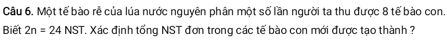 Một tế bào rễ của lúa nước nguyên phân một số lần người ta thu được 8 tế bào con. 
Biết 2n=24NST T. Xác định tổng NST đơn trong các tế bào con mới được tạo thành ?