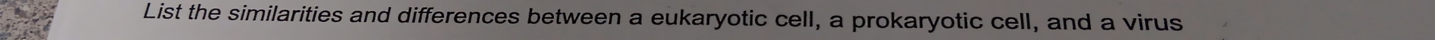 List the similarities and differences between a eukaryotic cell, a prokaryotic cell, and a virus