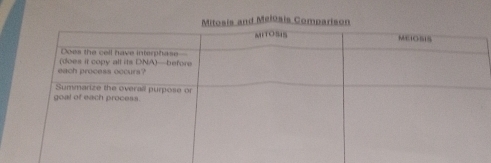 Mitosis and Melosis Comparison