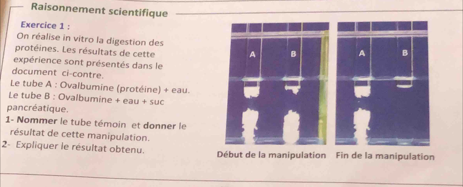 Raisonnement scientifique 
Exercice 1 : 
On réalise in vitro la digestion des 
protéines. Les résultats de cette 
expérience sont présentés dans le 
document ci-contre. 
Le tube A : Ovalbumine (protéine) + eau. 
Le tube B : Ovalbumine + eau + suc 
pancréatique. 
1- Nommer le tube témoin et donner le 
résultat de cette manipulation. 
2- Expliquer le résultat obtenu. 
Début de la manipulation Fin de la manipulation