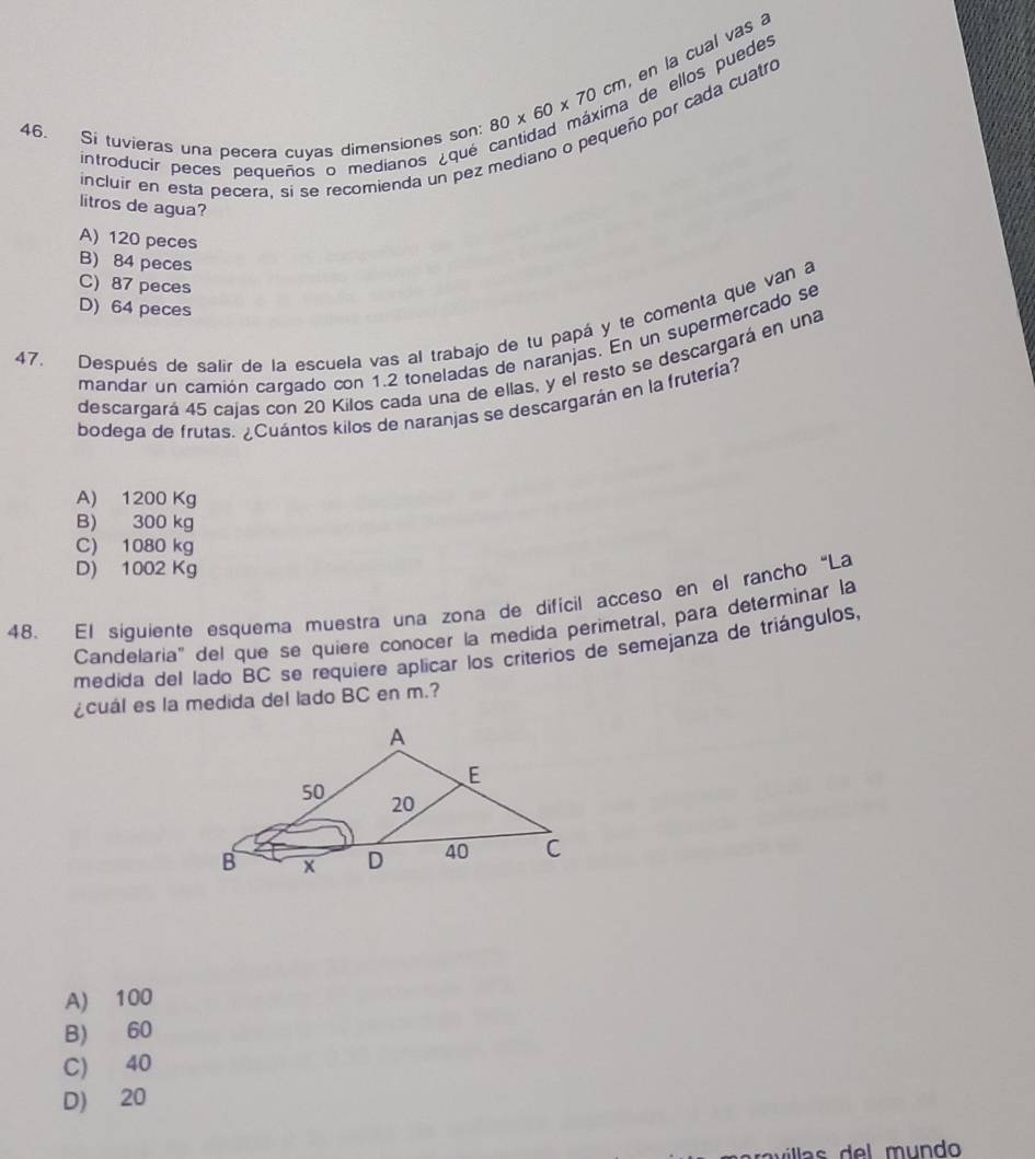 80* 60* 70cm en la cual vas a
de ellos puedes
o por cada cuatro
46. Si tuvieras una pecera cuyas dimensiones son:
introducir peces pequeños o medianos ¿qué é
incluir en esta pecera, si se recomienda un pez m
litros de agua?
A) 120 peces
B) 84 peces
C) 87 peces
D) 64 peces
47. Después de salir de la escuela vas al trabajo de tu papá y te comenta que van a
mandar un camión cargado con 1.2 toneladas de naranjas. En un supermercado se
descargará 45 cajas con 20 Kilos cada una de ellas, y el resto se descargará en una
bodega de frutas. ¿Cuántos kilos de naranjas se descargarán en la fruteria?
A) 1200 Kg
B) 300 kg
C) 1080 kg
D) 1002 Kg
48. El siguiente esquema muestra una zona de difícil acceso en el rancho “La
Candelaria' del que se quiere conocer la medida perimetral, para determinar la
medida del lado BC se requiere aplicar los criterios de semejanza de triángulos,
¿cuál es la medida del lado BC en m.?
A) 100
B) 60
C) 40
D) 20
de l mun d