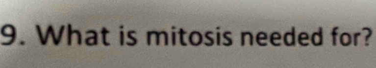 What is mitosis needed for?