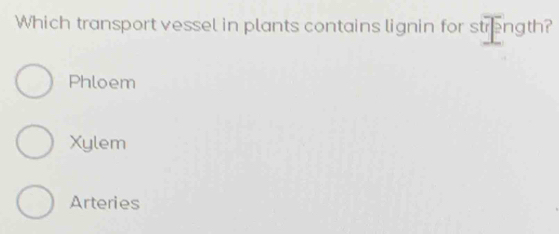 Which transport vessel in plants contains lignin for strength?
Phloem
Xylem
Arteries