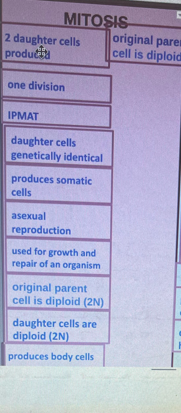 MITOSIS
2 daughter cells original pare 
producs cell is diploid 
one division 
IPMAT 
daughter cells 
genetically identical 
produces somatic 
cells 
asexual 
reproduction 
used for growth and 
repair of an organism 
original parent 
cell is diploid (2N) 
daughter cells are 
diploid (2N) 
produces body cells