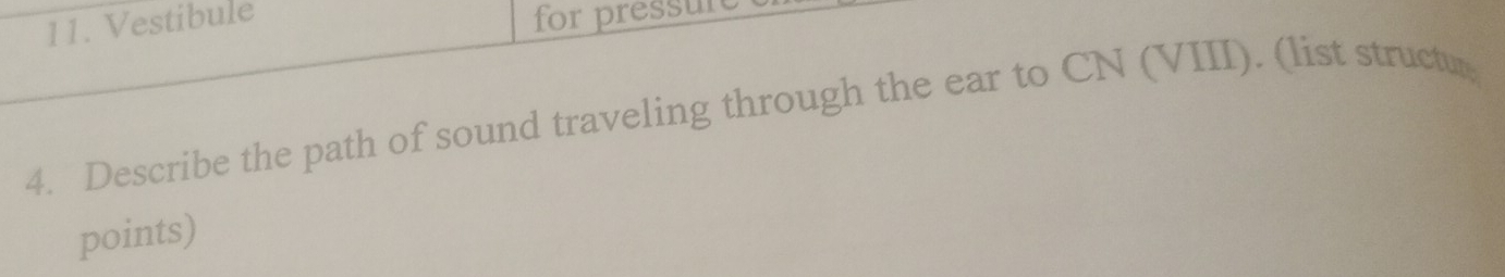 Vestibule for pressure 
4. Describe the path of sound traveling through the ear to CN (VIII). (list structur 
points)