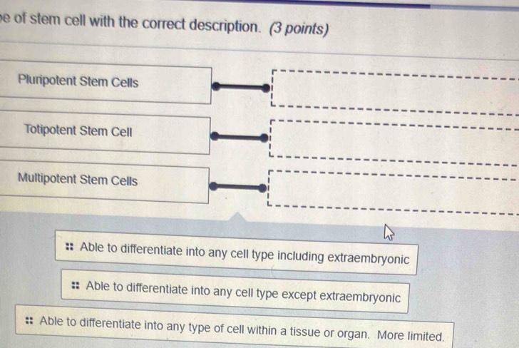 of stem cell with the correct description. (3 points)
Pluripotent Stem Cells
Totipotent Stem Cell
Multipotent Stem Cells
Able to differentiate into any cell type including extraembryonic
Able to differentiate into any cell type except extraembryonic
Able to differentiate into any type of cell within a tissue or organ. More limited.