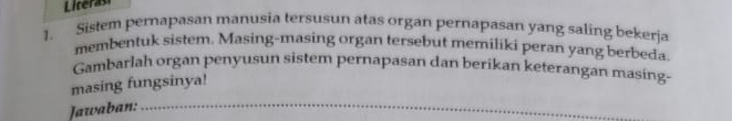 Licerast 
1. Sistem pernapasan manusia tersusun atas organ pernapasan yang saling bekerja 
membentuk sistem. Masing-masing organ tersebut memiliki peran yang berbeda. 
Gambarlah organ penyusun sistem pernapasan dan berikan keterangan masing- 
masing fungsinya! 
Jawaban:_