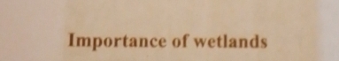 Importance of wetlands