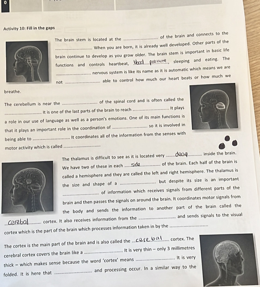 Activity 10: Fill in the gaps 
The brain stem is located at the _of the brain and connects to the 
_When you are born, it is already well developed. Other parts of the 
brain continue to develop as you grow older. The brain stem is important in basic life 
functions and controls heartbeat,_ , sleeping and eating. The 
_nervous system is like its name as it is automatic which means we are 
not 
_able to control how much our heart beats or how much we 
breathe. 
The cerebellum is near the _of the spinal cord and is often called the 
_It is one of the last parts of the brain to reach _It plays 
a role in our use of language as well as a person's emotions. One of its main functions is 
that it plays an important role in the coordination of _so it is involved in 
being able to _It coordinates all of the information from the senses with 
motor activity which is called_ 
The thalamus is difficult to see as it is located very _inside the brain. 
We have two of these in each _of the brain. Each half of the brain is 
called a hemisphere and they are called the left and right hemisphere. The thalamus is 
the size and shape of a _but despite its size is an important 
_ 
of information which receives signals from different parts of the 
brain and then passes the signals on around the brain. It coordinates motor signals from 
the body and sends the information to another part of the brain called the 
_ 
_ 
cortex. It also receives information from the _and sends signals to the visual 
cortex which is the part of the brain which processes information taken in by the_ 
The cortex is the main part of the brain and is also called the _cortex. The 
cerebral cortex covers the brain like a _It is very thin - only 3 millimetres
thick - which makes sense because the word ‘cortex’ means 
_It is very 
folded. It is here that _and processing occur. In a similar way to the