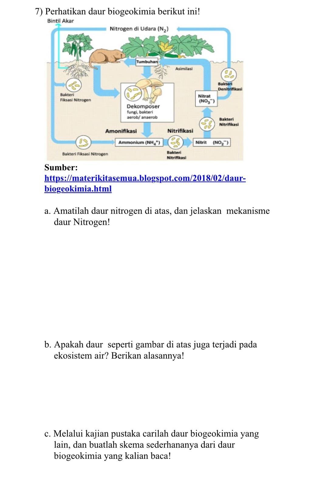 Perhatikan daur biogeokimia berikut ini!
Sumber:
https://materikitasemua.blogspot.com/2018/02/daur-
biogeokimia.html
a. Amatilah daur nitrogen di atas, dan jelaskan mekanisme
daur Nitrogen!
b. Apakah daur seperti gambar di atas juga terjadi pada
ekosistem air? Berikan alasannya!
c. Melalui kajian pustaka carilah daur biogeokimia yang
lain, dan buatlah skema sederhananya dari daur
biogeokimia yang kalian baca!