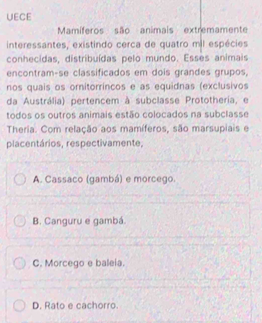 UECE
Mamíferos são animais extremamente
interessantes, existindo cerca de quatro miI espécies
conhecidas, distribuídas pelo mundo. Esses animais
encontram-se classificados em dois grandes grupos,
nos quais os ornitorríncos e as equidnas (exclusivos
da Austrália) pertencem à subclasse Prototheria, e
todos os outros animais estão colocados na subclasse
Theria. Com relação aos mamíferos, são marsupiais e
placentários, respectivamente,
A. Cassaco (gambá) e morcego.
B. Canguru e gambá.
C. Morcego e baleia.
D. Rato e cachorro.