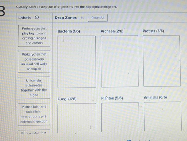 Classify each description of organisms into the appropriate kingdom. 
Labels ① Drop Zones Reset All 
Prokaryotes that Bacteria (1/6) Archaea (2/6) Protista (3/6)
play key roles in 
cycling nitrogen 
and carbon 
Prokaryotes that 
possess very 
unusual cell walls 
and lipids 
Unicellular 
eukaryotes 
together with the 
algae Plantae (5/6) Animalia (6/6)
Fungi (4/6)
Multicellular and 
unicellular 
heterotrophs with 
external digestion 
Drabanter that