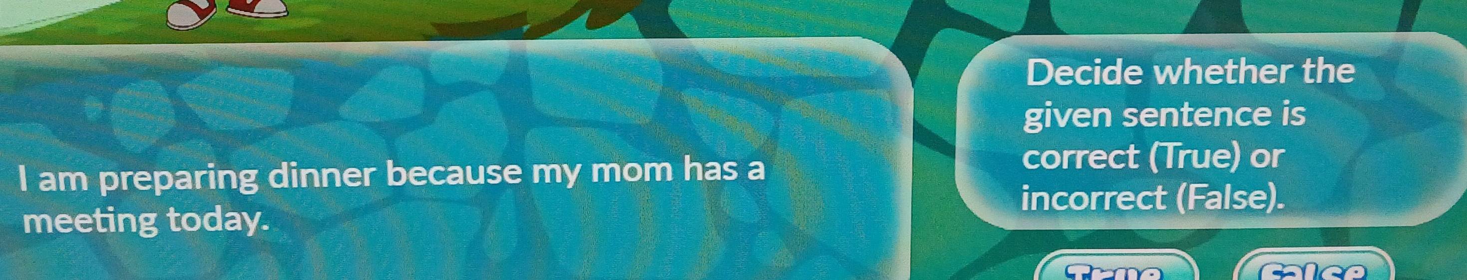 Decide whether the 
given sentence is 
I am preparing dinner because my mom has a 
correct (True) or 
incorrect (False). 
meeting today.