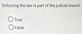 Enforcing the law is part of the judicial branch
True
False