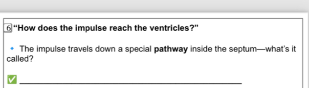 ⑥ “How does the impulse reach the ventricles?” 
The impulse travels down a special pathway inside the septum—what’s it 
called? 
_ 
V