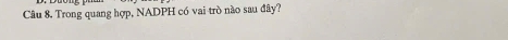 Trong quang hợp, NADPH có vai trò nào sau đây?