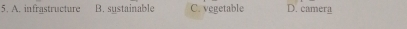 A. infrastructure B. sustainable C. vegetable D. camera