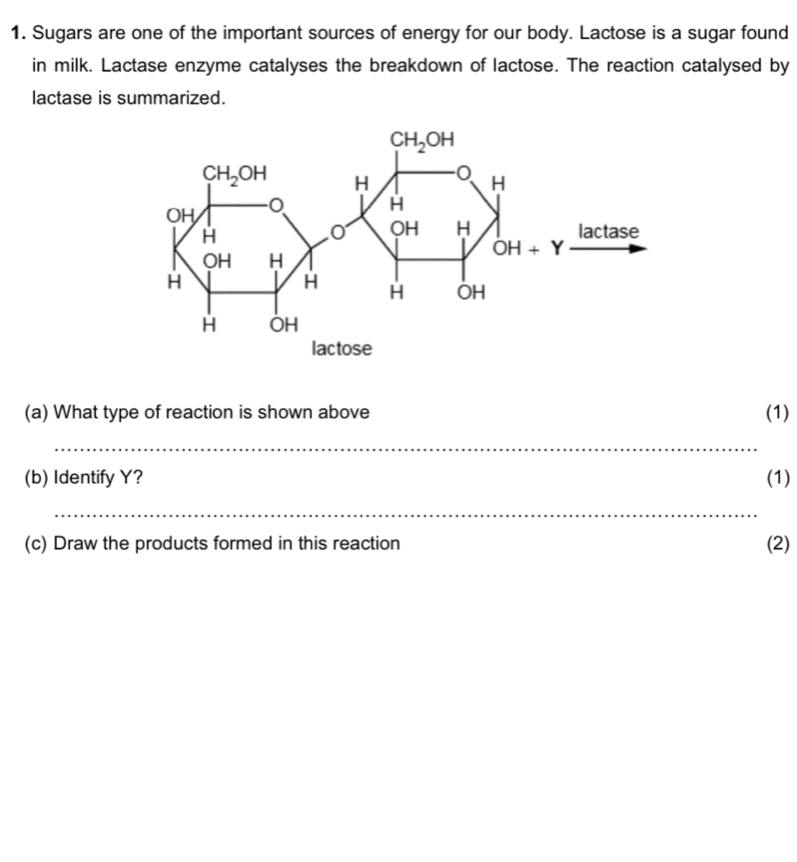 Sugars are one of the important sources of energy for our body. Lactose is a sugar found
in milk. Lactase enzyme catalyses the breakdown of lactose. The reaction catalysed by
lactase is summarized.
(a) What type of reaction is shown above (1)
_
(b) Identify Y? (1)
_
(c) Draw the products formed in this reaction (2)