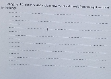 Using Fig. 1.1, describe and explain how the blood travels from the right ventricle 
to the lungs. 
_ 
_ 
_ 
_ 
_ 
_ 
_ 
_ 
_ 
_ 
_ 
_ 
_ 
_ 
_ 
_