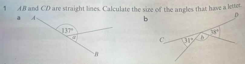 AB and CD are straight lines. Calculate the size of thees that have a letter.
a b