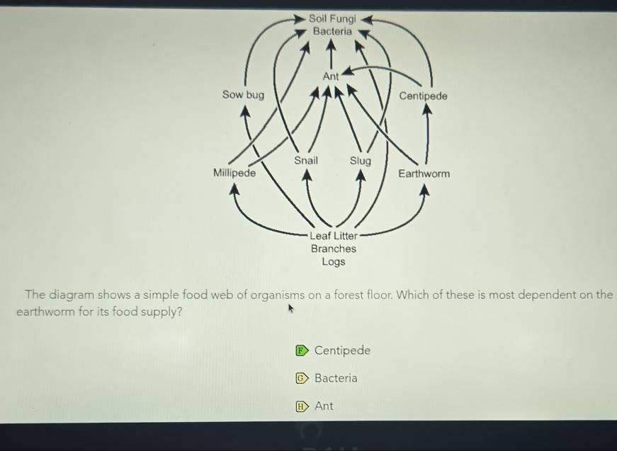Solved: The diagram shows a simple food web of organisms on a forest ...