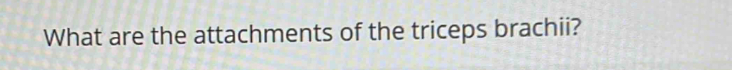 What are the attachments of the triceps brachii?