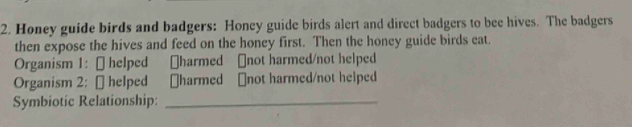 Honey guide birds and badgers: Honey guide birds alert and direct badgers to bee hives. The badgers 
then expose the hives and feed on the honey first. Then the honey guide birds eat. 
Organism 1: [ helped [harmed ₹not harmed/not helped 
Organism 2: [ helped [harmed ₹not harmed/not helped 
Symbiotic Relationship:_