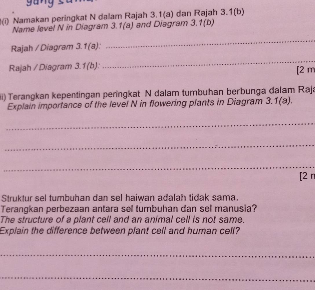 gang 
(i) Namakan peringkat N dalam Rajah 3.1(a) dan Rajah 3.1(b) 
Name level N in Diagram 3.1(a) and Diagram 3.1(b) 
Rajah / Diagram 3.1(a): 
_ 
Rajah / Diagram 3.1(b): 
_ 
[ 2 m
iii) Terangkan kepentingan peringkat N dalam tumbuhan berbunga dalam Raja 
Explain importance of the level N in flowering plants in Diagram 3.1(a). 
_ 
_ 
_ 
[2 n 
Struktur sel tumbuhan dan sel haiwan adalah tidak sama. 
Terangkan perbezaan antara sel tumbuhan dan sel manusia? 
The structure of a plant cell and an animal cell is not same. 
Explain the difference between plant cell and human cell? 
_ 
_