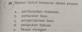 Bakteri litotrof berperan dalam proses
a. pembusukan makanan
b. perkaratan besi
pengeroposan besi
d. pelapukan batuan
e. fiksasi nitrogen