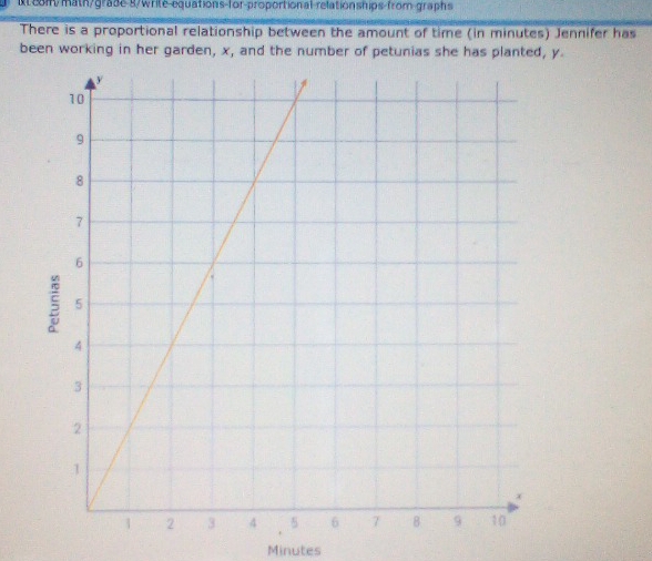 xt8sm/math/grade 8/writé-equations-for-proportional relation ships-from-graphs 
There is a proportional relationship between the amount of time (in minutes) Jennifer has 
been working in her garden, x, and the number of petunias she has planted, y.
Minutes